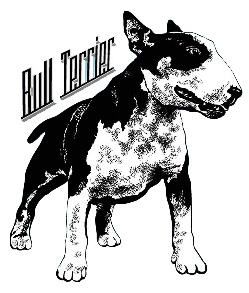 500x589 Bull Terrier T Shirt Hoodie Sleeve Clothing