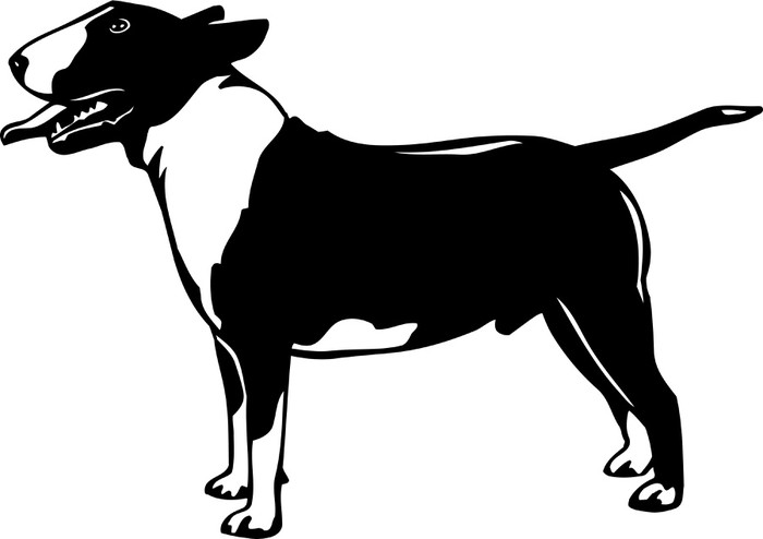 700x494 Bull Terrier Vinyl Ready Vector Illustration Wall Mural Pixers
