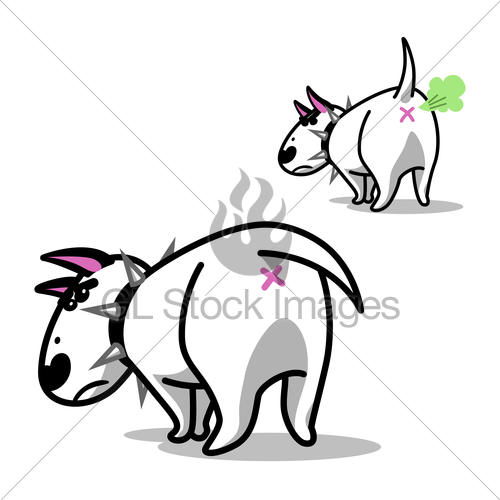 500x500 Cute Vector Cartoon Dog. Angry White Bull Terrier. Gl Stock Images