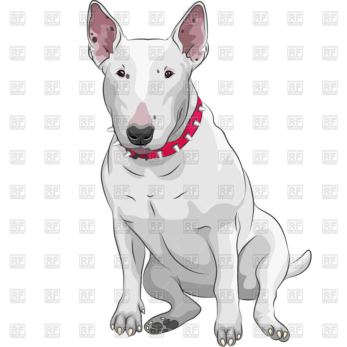 1200x1200 White Bull Terrier Dog Sitting Isolated On The White Background