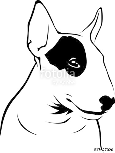 376x500 Bull Terrier Stock Image And Royalty Free Vector Files On Fotolia
