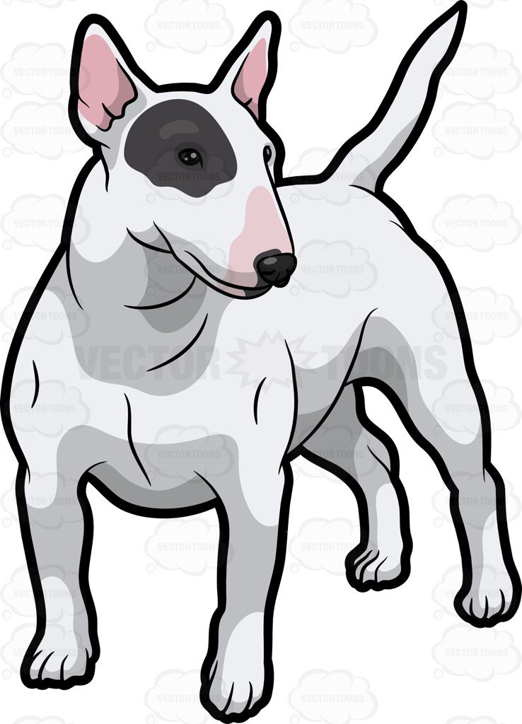 Bull Terrier Vector at GetDrawings.com | Free for personal ...