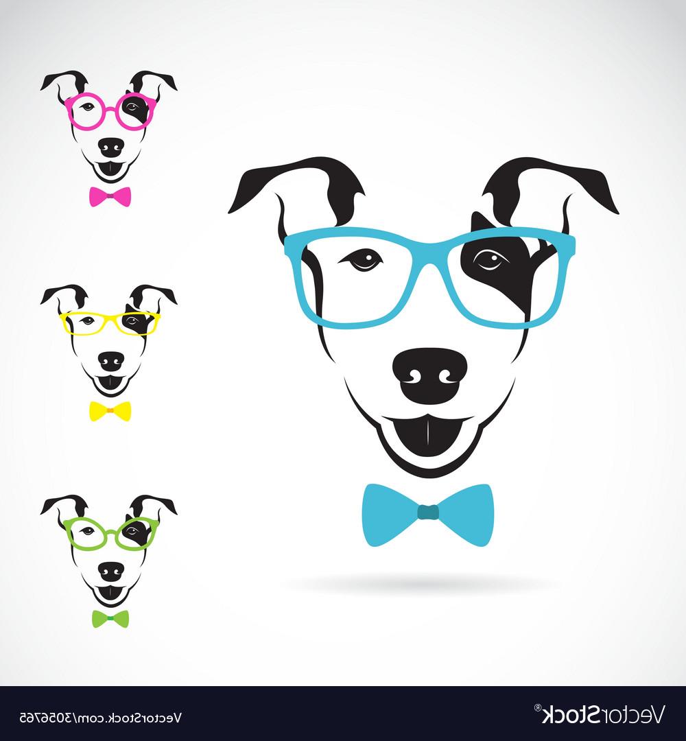 1000x1080 Best Free Dog Bull Terrier Glasses Vector Photos