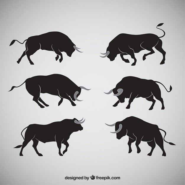 626x626 Bull Vectors, Photos And Psd Files Free Download