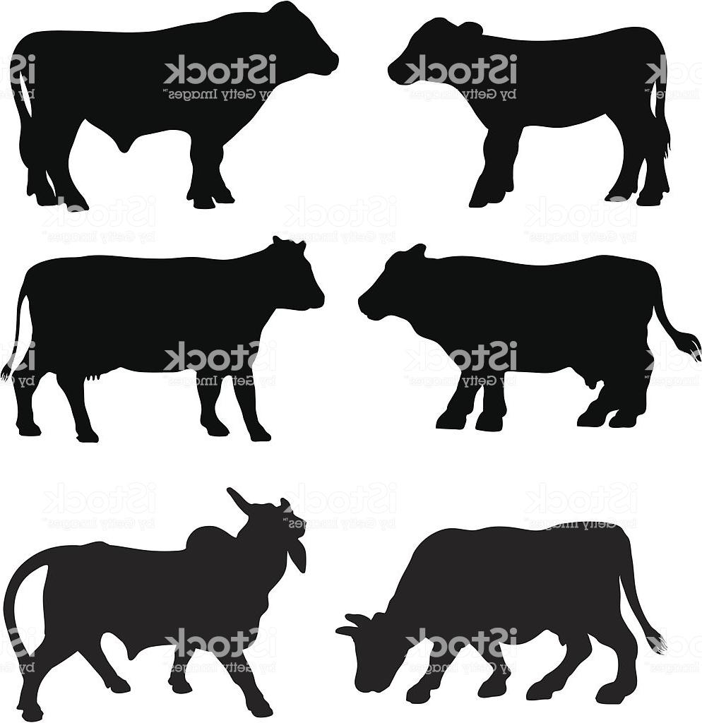 994x1024 Hd Angus Bull Silhouette Vector Drawing Free Vector Art, Images