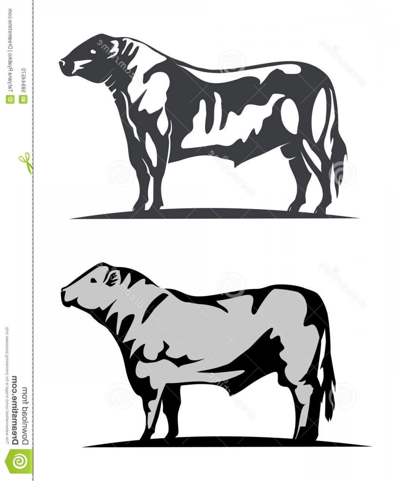 1290x1560 Angus Cow Vector Art Lazttweet