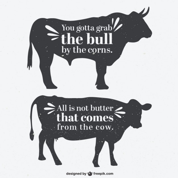 626x626 Bull And Cow Silhouettes With A Quote Vector Free Download