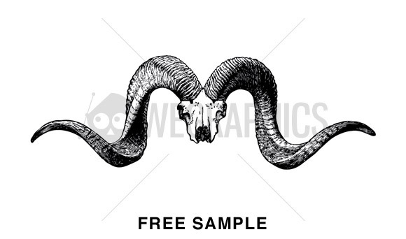 580x342 Free Download Of Bull Vector Graphics And Illustrations