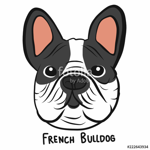 500x500 French Bulldog Face Cartoon Doodle Vector Illustration Stock