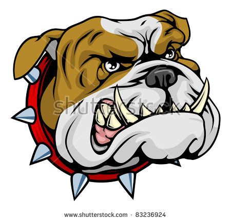 450x431 Mean Looking Illustration Of Classic British Bulldog Face 1956