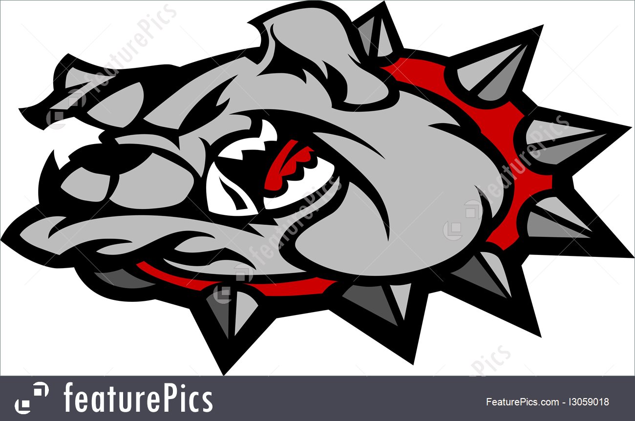 1300x862 Pets Bulldog Mascot Head Vector
