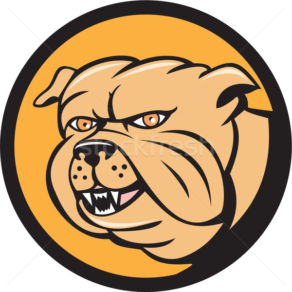 600x600 Bulldog Stock Vectors, Illustrations And Cliparts Stockfresh