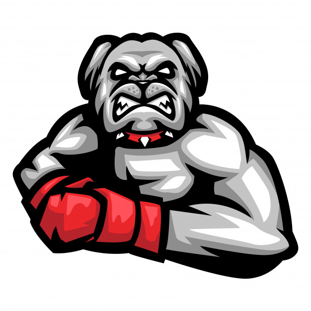 626x626 Bulldog Boxer Mascot Logo Vector Premium Download