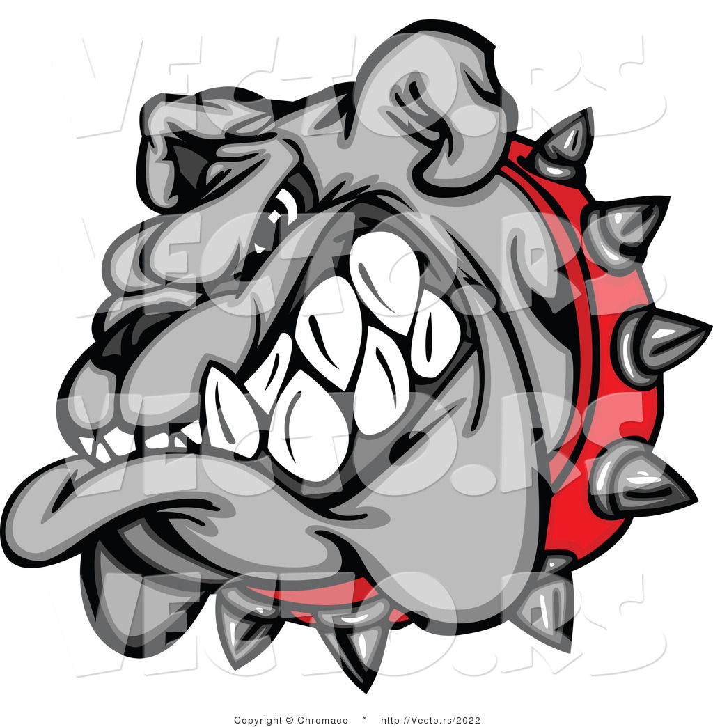 1024x1044 Bulldog Mascot Vector