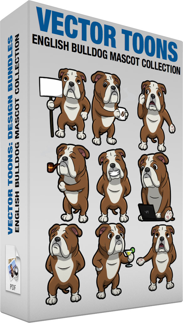 584x1029 English Bulldog Mascot Collection Clipart By Vector Toons