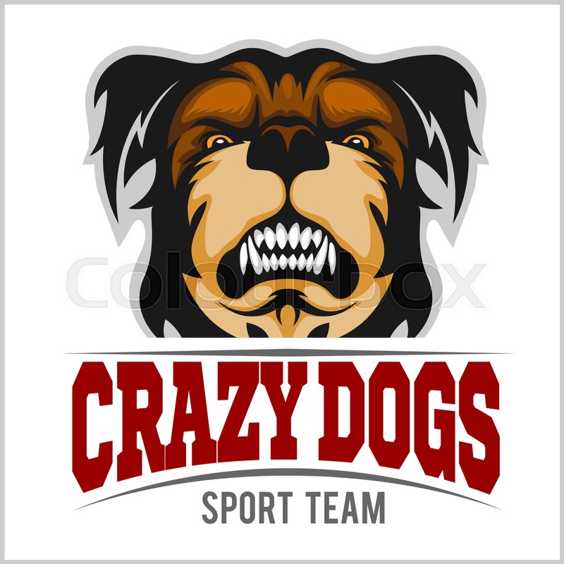800x800 Modern Professional Logo For Sport Team. Bulldog Mascot. Crazy Dog