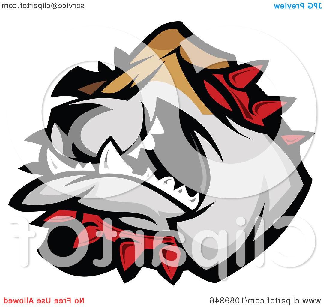 1080x1024 Unique Clipart Bulldog Mascot Face Attacking Royalty Free Vector