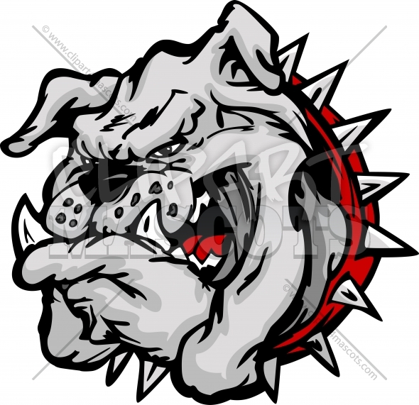 590x571 Bulldog Mascot Graphic Vector Cartoon