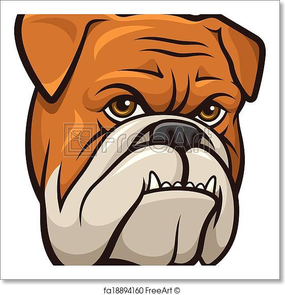 561x581 Free Art Print Of Vector Bulldog. Vector Illustration Of An Angry