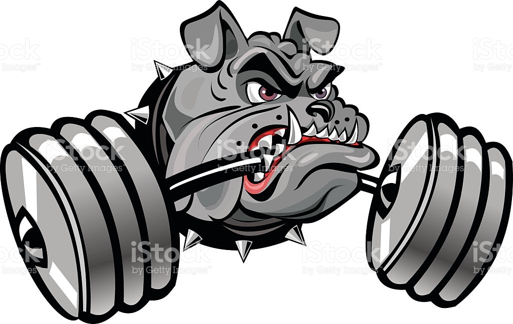 1024x648 Bulldog Vector