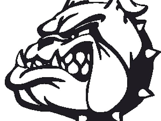 640x480 Bulldog Vector Art 17