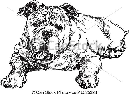 450x331 Hand Drawn English Bulldog Illustration.