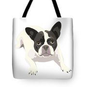 180x180 Black And White French Bulldog