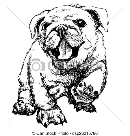 450x469 Bulldog Puppy Hand Draw Vector.