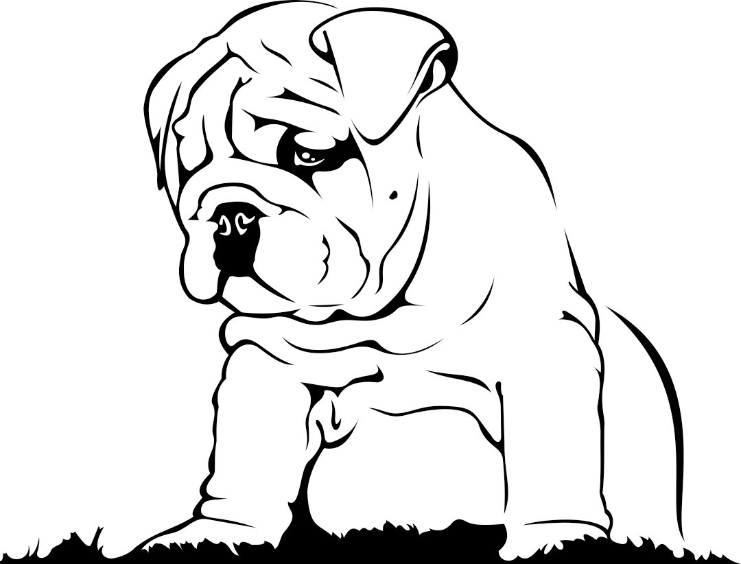 1080x822 English Bulldog Graphics Design Svg Dxf Eps By Vectordesign On Zibbet