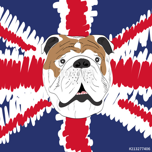 500x500 English Bulldog, Vector Illustration, Icon Stock Image And