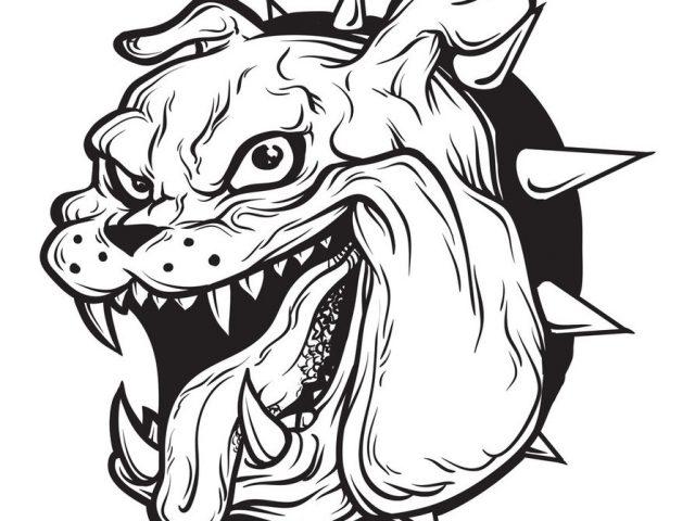 640x480 Bulldog Vector Free Download 5