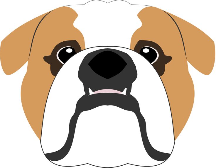736x573 22 Best Vector Illustrations Images Bulldog Vector