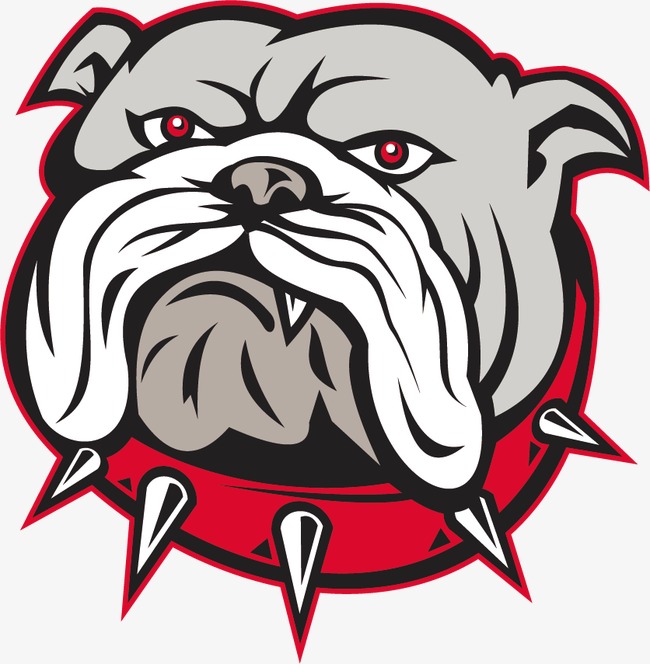 650x664 Cartoon Bulldog Head, Bulldog, Dog, Head Png And Vector For Free