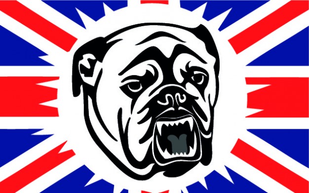 626x391 English Bulldog Vectors, Photos And Psd Files Free Download