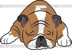 300x208 Bulldog Vector Clipart