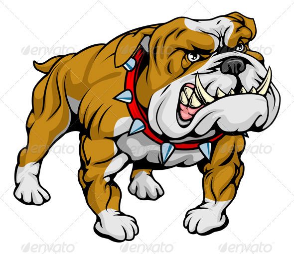 590x510 Drawn Bulldog Vector