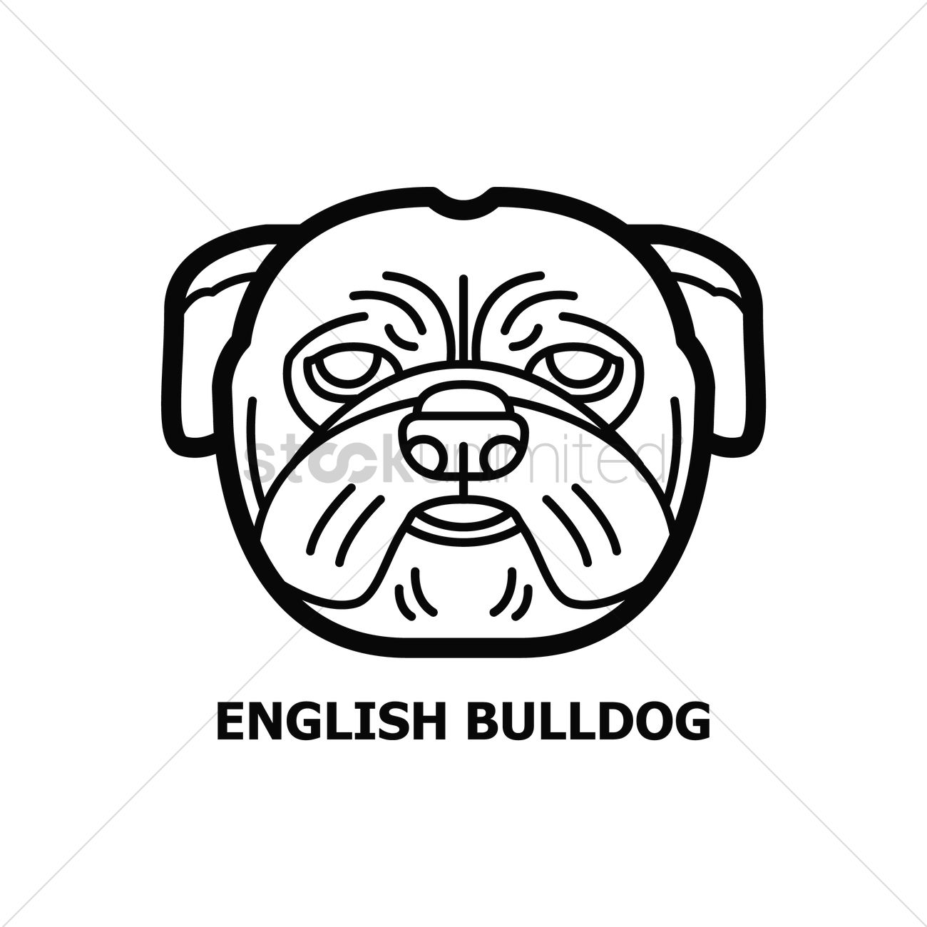 1300x1300 English Bulldog Vector Image