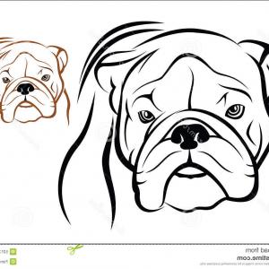 300x300 Stock Illustration English Bulldog Vector Illustration White