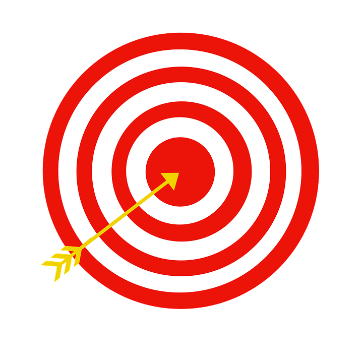 720x720 Target Vector