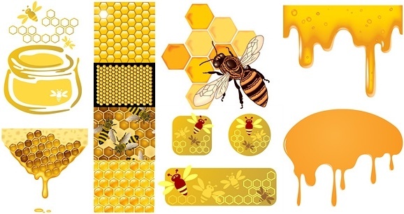 578x307 Bumble Bee Vector Free Vector Download (327 Free Vector) For