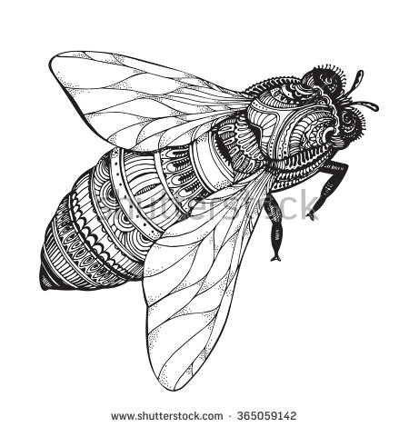 450x470 Drawn Bee Vector
