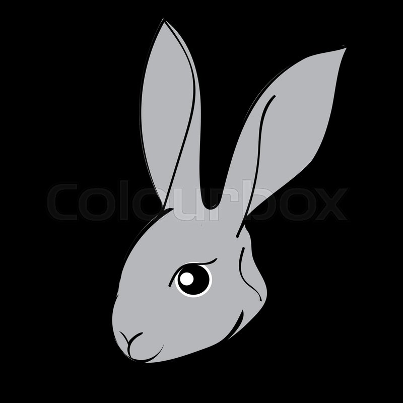 800x800 Grey Easter Rabbit Black Background Animal. Vector Illustrator