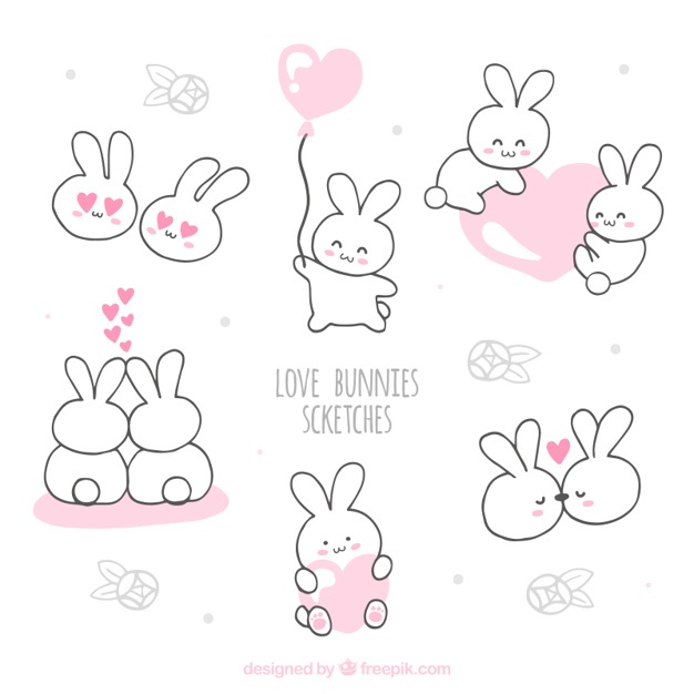 626x626 Bunny Vectors, Photos And Psd Files Free Download