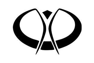 312x210 Burning Man Logos