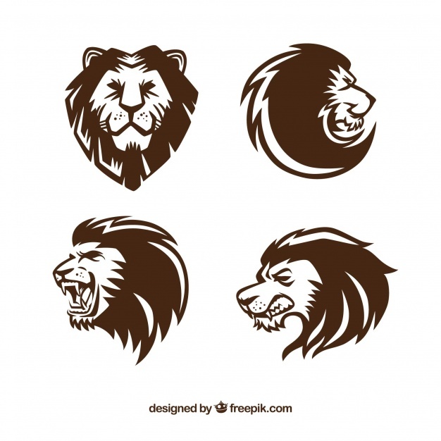 626x626 Lion Vectors, Photos And Psd Files Free Download