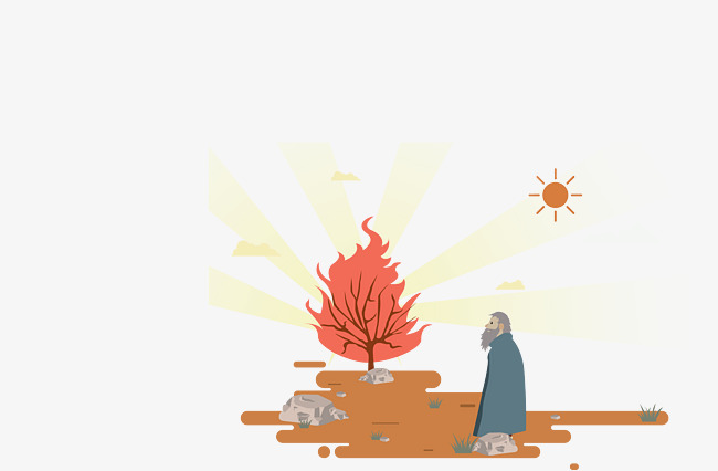 650x426 The Man Saw The Small Tree Burning, Man Vector, Tree Vector, Man
