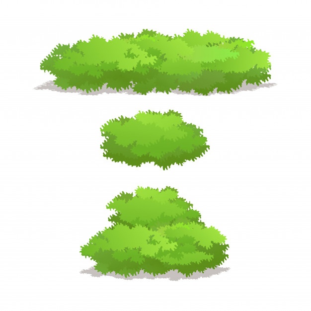 626x626 Bush Vector Vectors, Photos And Psd Files Free Download