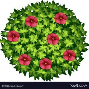 300x300 Bush With Flowers Icon Vector Sohadacouri