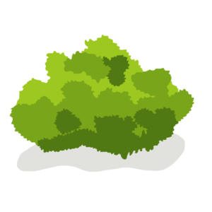 300x300 Bush Vector