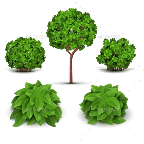 590x590 Garden Bush With Green Leaves Vector Set By Microvone Graphicriver